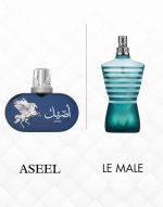 Aseel By Le Falconé Perfumes Eau De Perfum 100 ml - الصورة 2